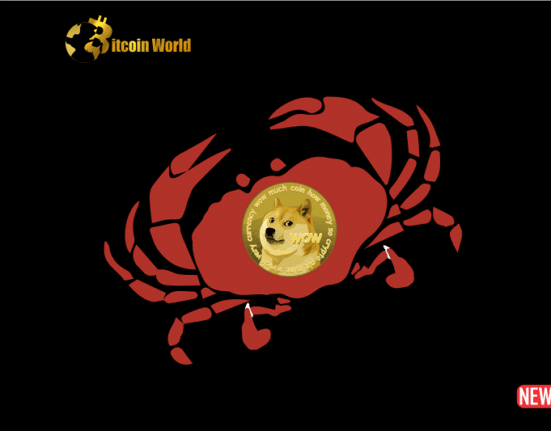 doge crab market