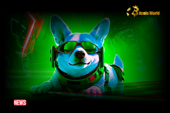 Is Dogecoin (DOGE) Finally Gearing Up For A Post-Halving Rally?