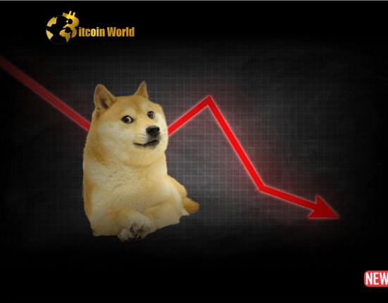 doge down