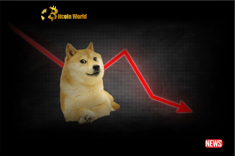 doge down