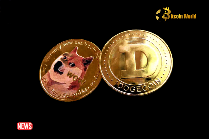 Why Is Dogecoin Price Crashing Down?