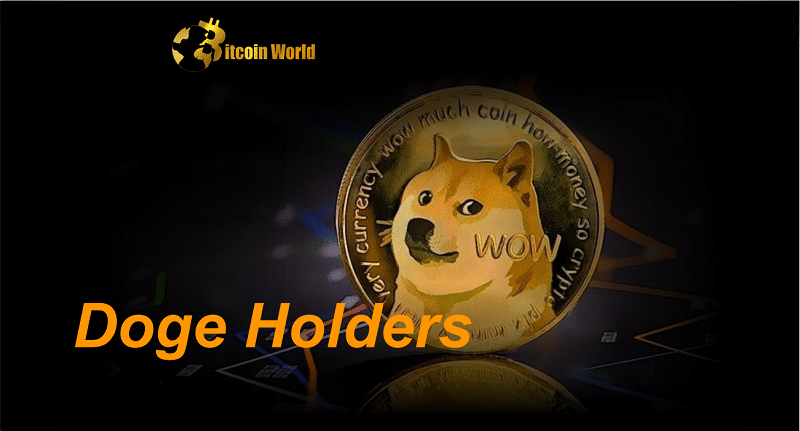 doge holders