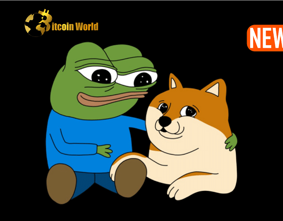 doge meme