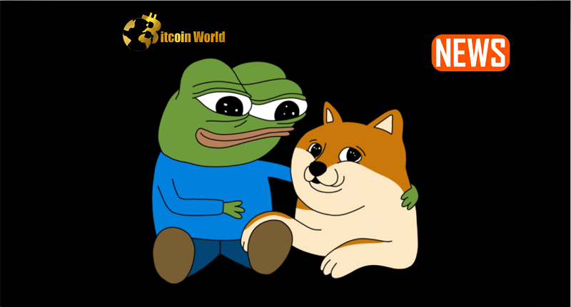 doge meme