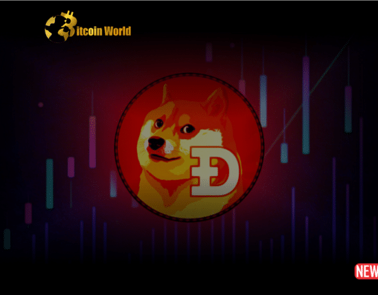 doge price 1
