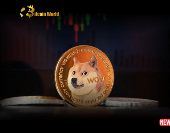 doge price 2