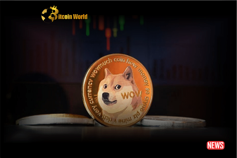doge price 2