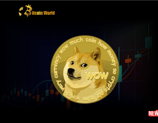 doge price