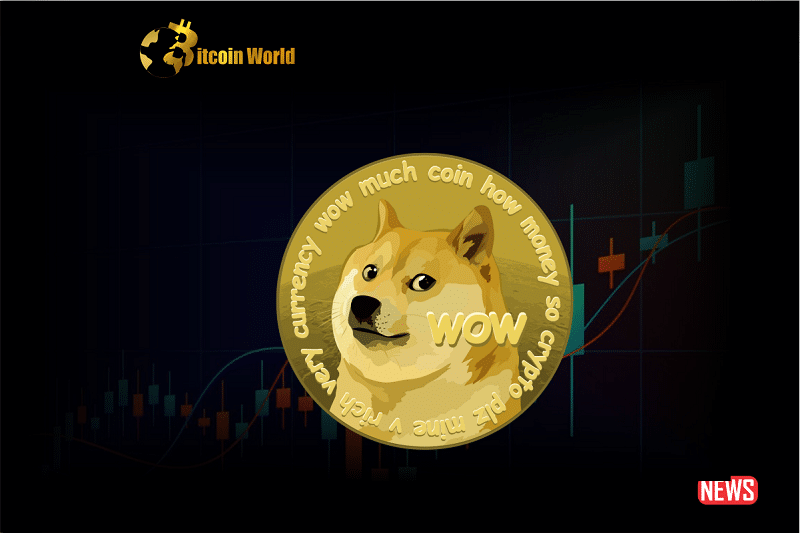 doge price
