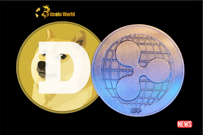 doge ripple