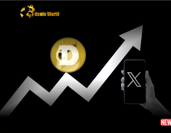 doge rise