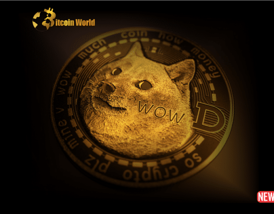 doge skyro