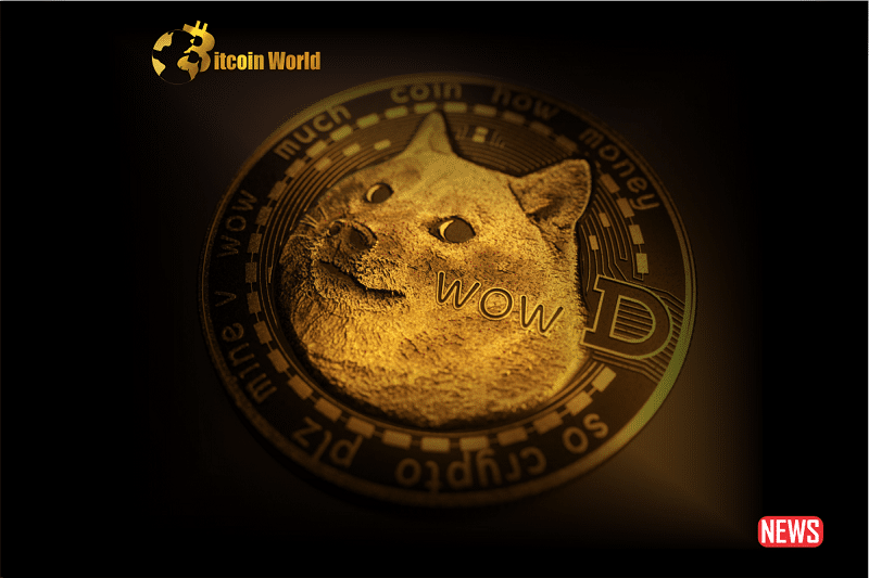 doge skyro