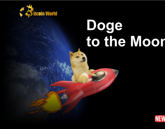 doge to the moon 1