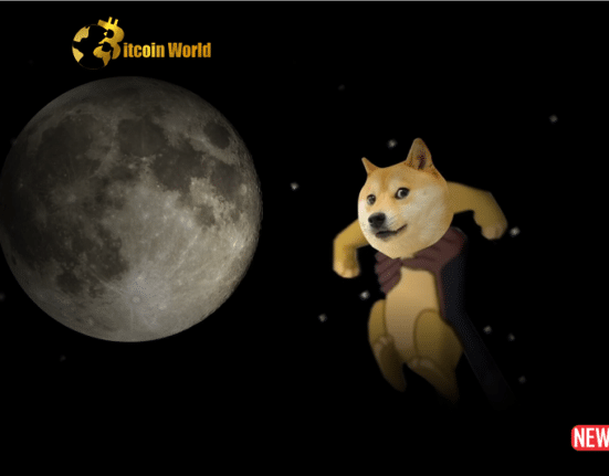 doge to the moon