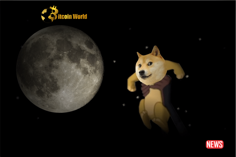 doge to the moon