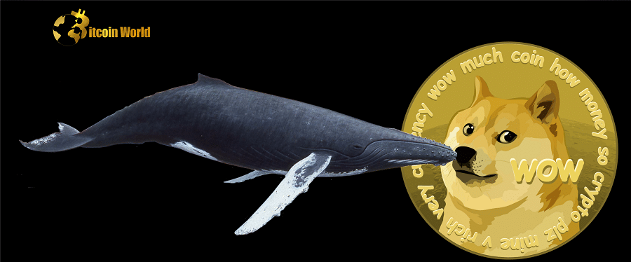Dogecoin (DOGE) Whale Activity Surges Ahead of Expected ‘Rage Pump’