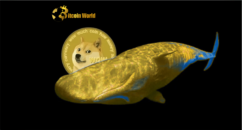 Santiment Data Reveals: Dogecoin Whales Amass 1.47 billion DOGE in 3 Months Amidst Signs of Decoupling for the Beloved Memecoin