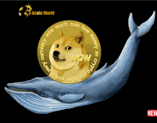 doge whale 3