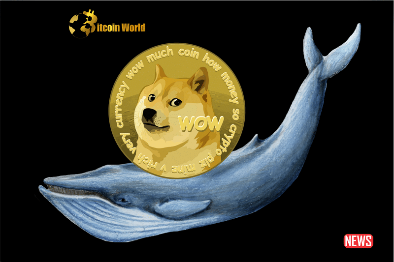 doge whale 3