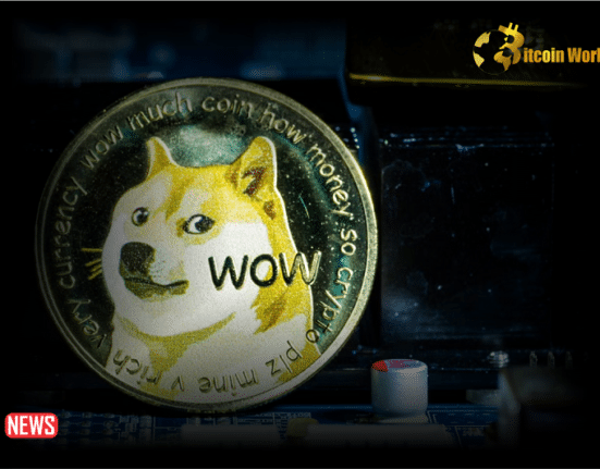The Price Of Dogecoin Drops After Elon Musk Denies xAI Fundraising