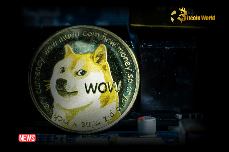 The Price Of Dogecoin Drops After Elon Musk Denies xAI Fundraising