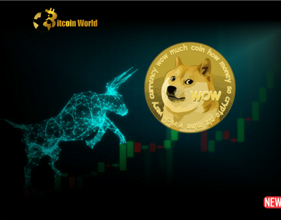 dogecoin rally