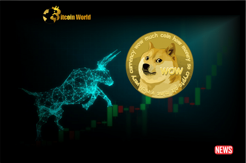 dogecoin rally