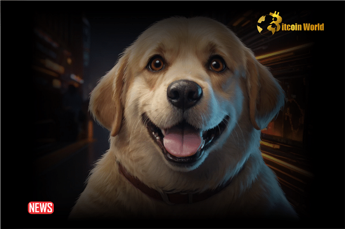 Owners of Shiba Inu Featured In Dogwifhat Meme Auctions NFT on Ethereum Revealed