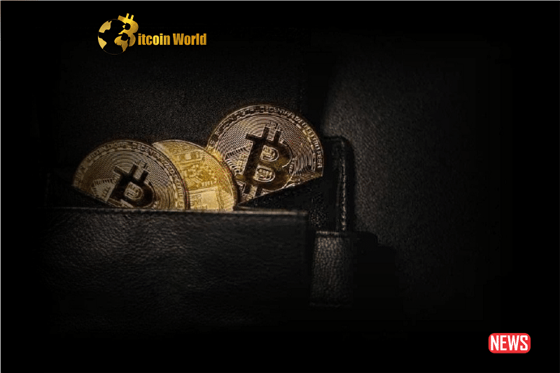 dormant btc 1