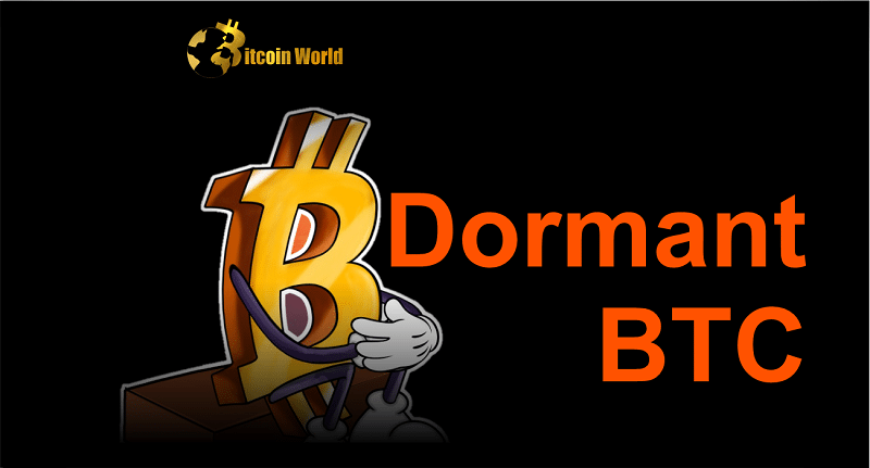 More Than Half of All Circulating Bitcoin Is Dormant