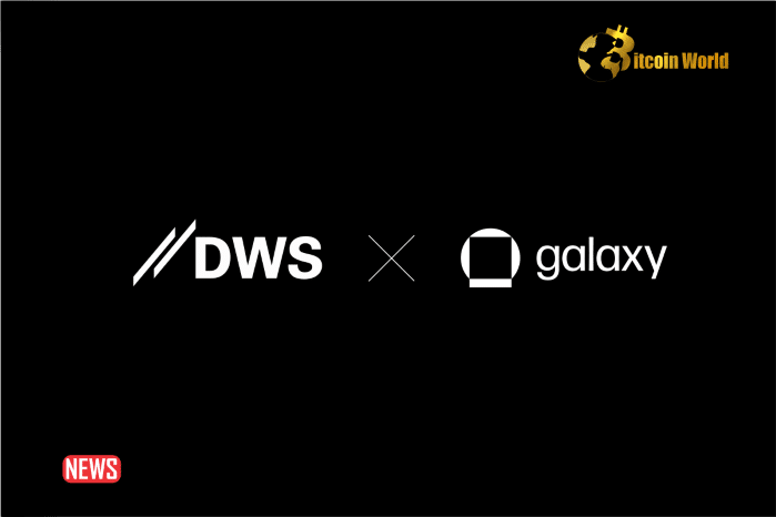 DWS Group Debuts Bitcoin And Ethereum ETCs In Germany