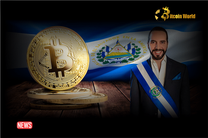 El Salvador To Reduce Income Tax For Foreign Investments And Remittances