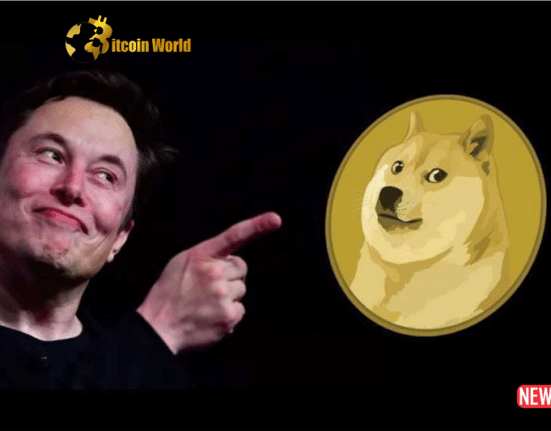 elon doge