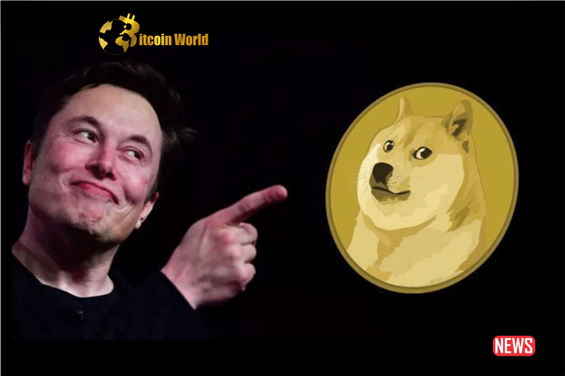 elon doge