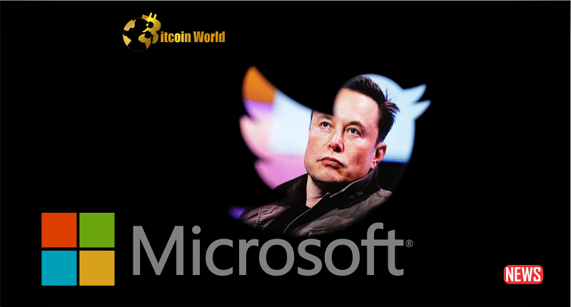 elon micros