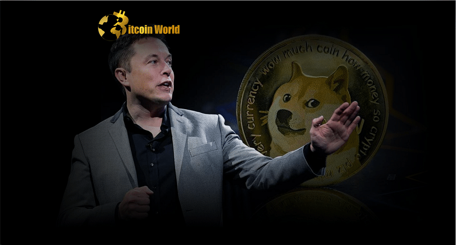 elon musk doge