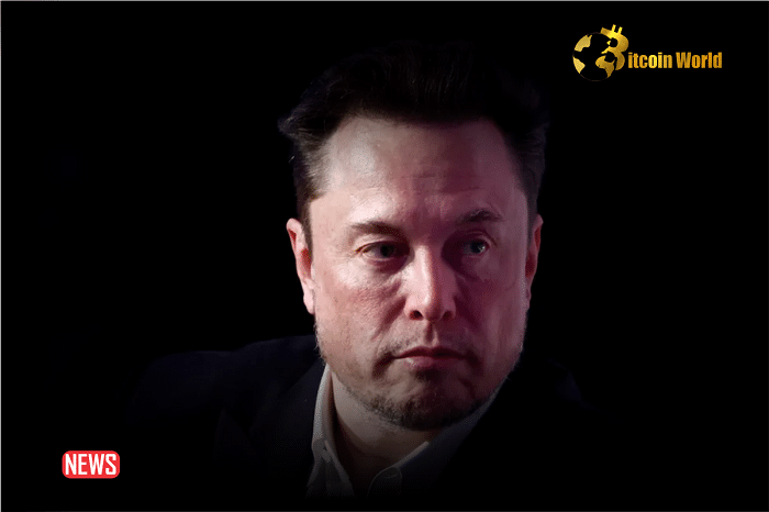Lawyers In Elon Musk’s Pay Case Request $6 Billion In Tesla Shares As Legal Fees