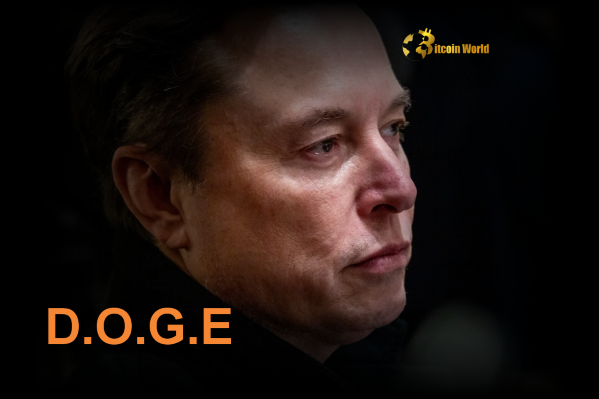 Elon Musk's Shocking DOGE Departure: Silicon Valley Politics Enters 'Find Out' Stage