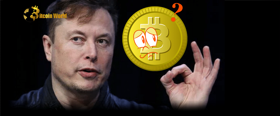 Bitcoin Sees Another Threat? - Elon Musk Just Might Be Hinting At This