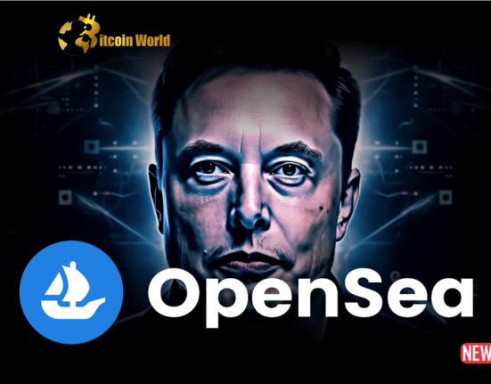 elon opensea