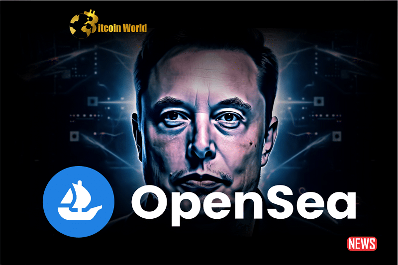 elon opensea