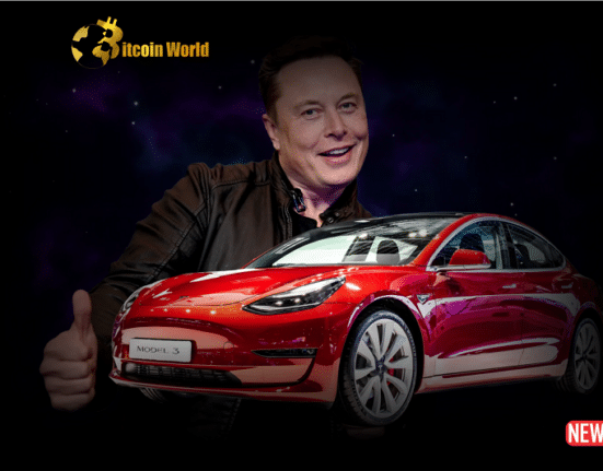 elon tesla