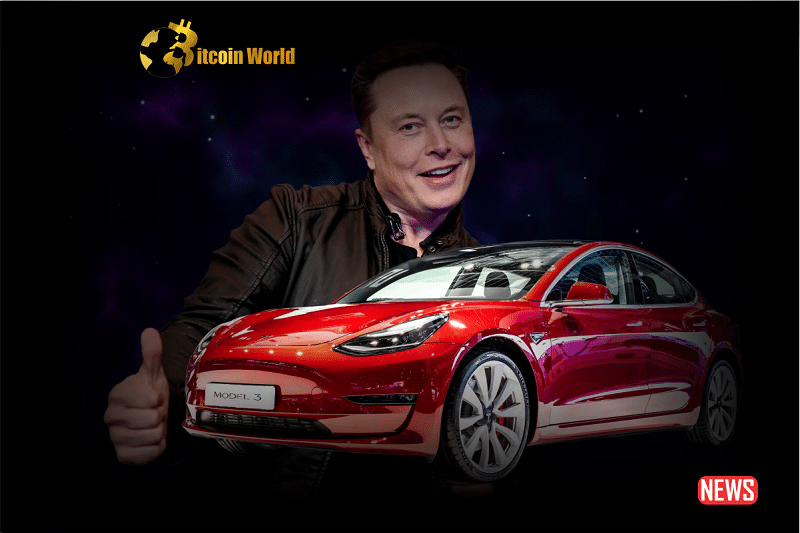 elon tesla