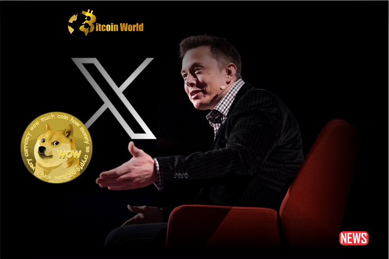 elon x doge