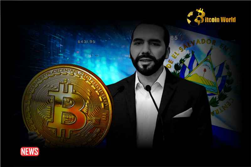 El Salvador President Losses Approximately $8M in Bitcoin Investment