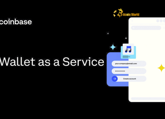 Empowering Web3: Coinbase Developer Wallets Arrive