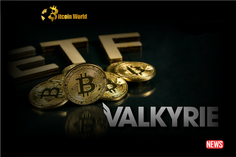 etf eth valkyri