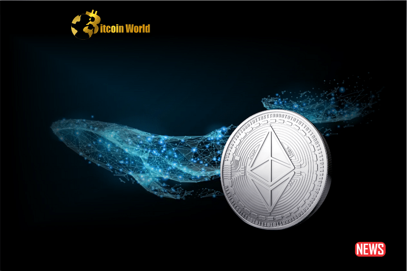 eth ico whale