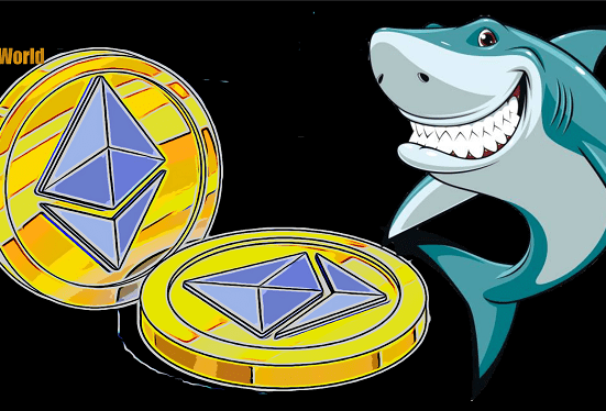 eth shark